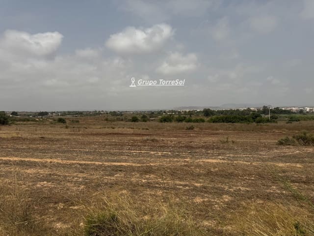Ubebygd land til salgs i Elche / Elx - € 55 000 (Ref: 9977954)