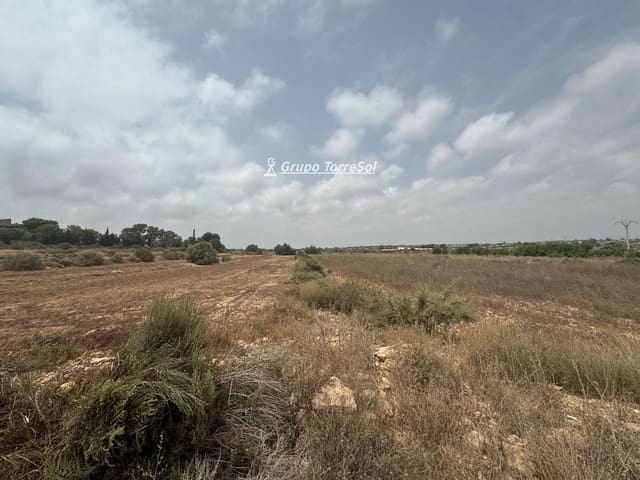 Ubebygd land til salgs i Elche / Elx - € 55 000 (Ref: 9977954)