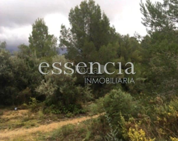 Tomt till salu i Oliva - 69 000 € (Ref: 7236846)