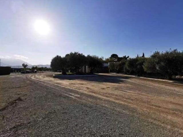 Commercial for sale in Beniflá with garage - € 1,240,000 (Ref: 7901614)