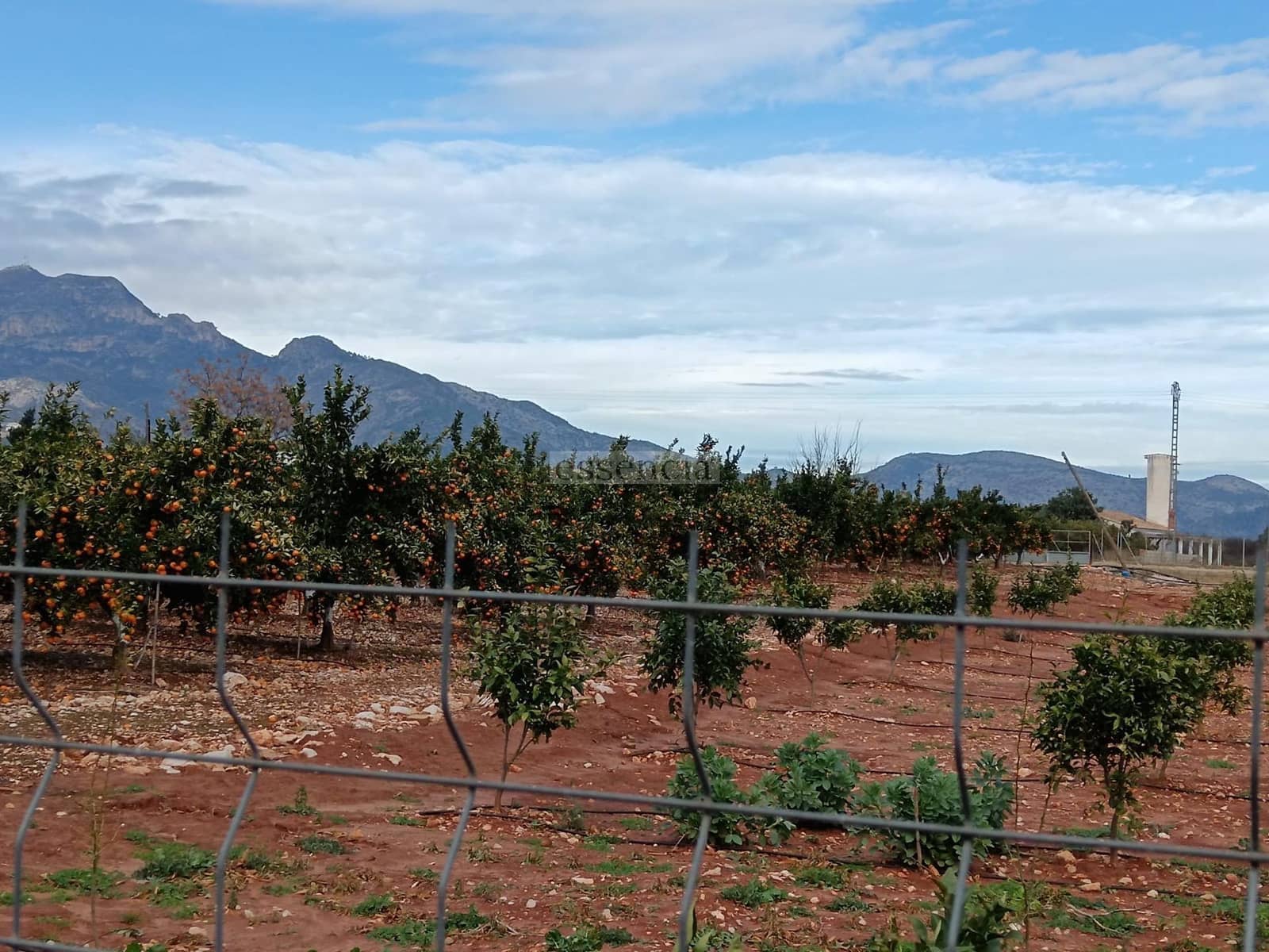 2 sovrum Villa till salu i Palma de Gandia - 389 000 € (Ref: 8798816)