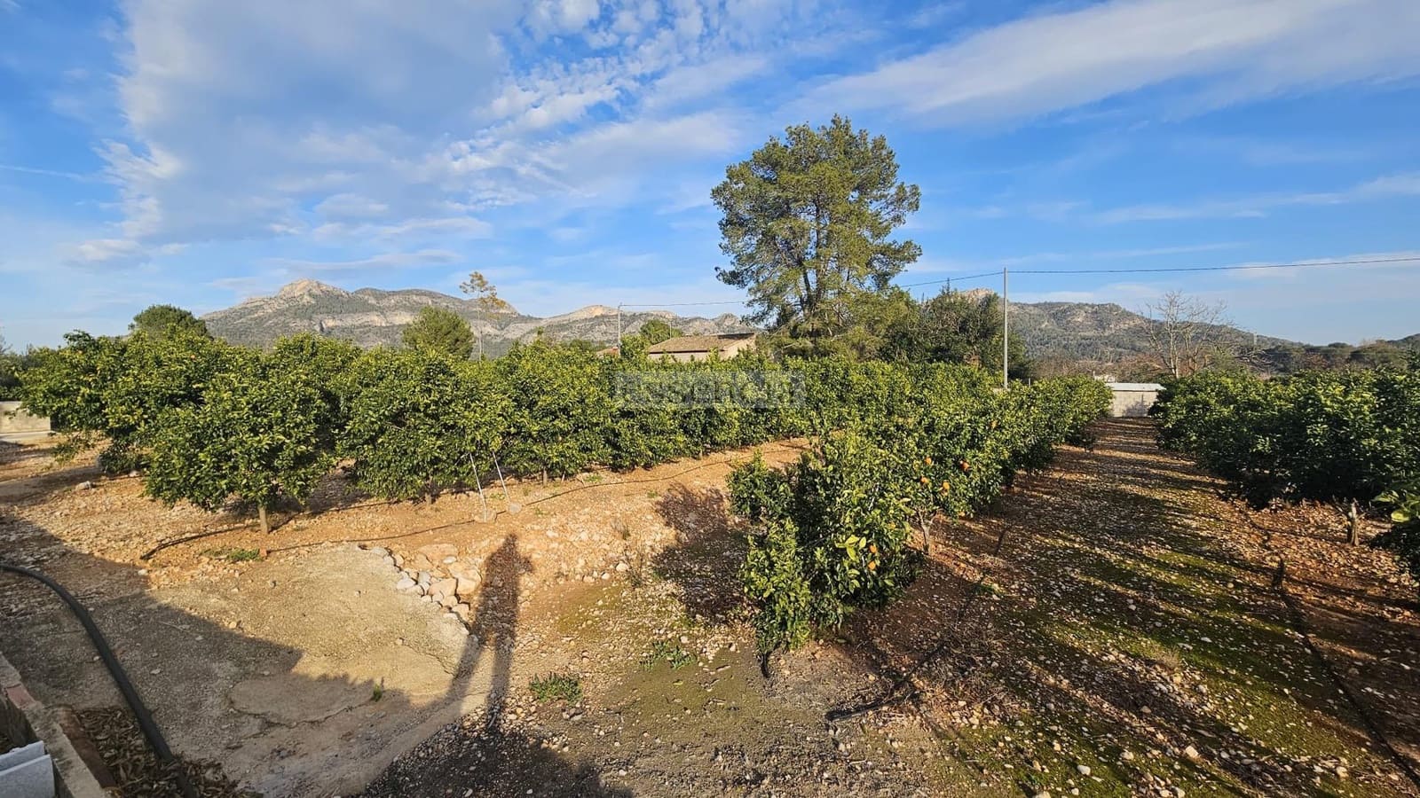 2 sovrum Villa till salu i Palma de Gandia - 389 000 € (Ref: 8798816)