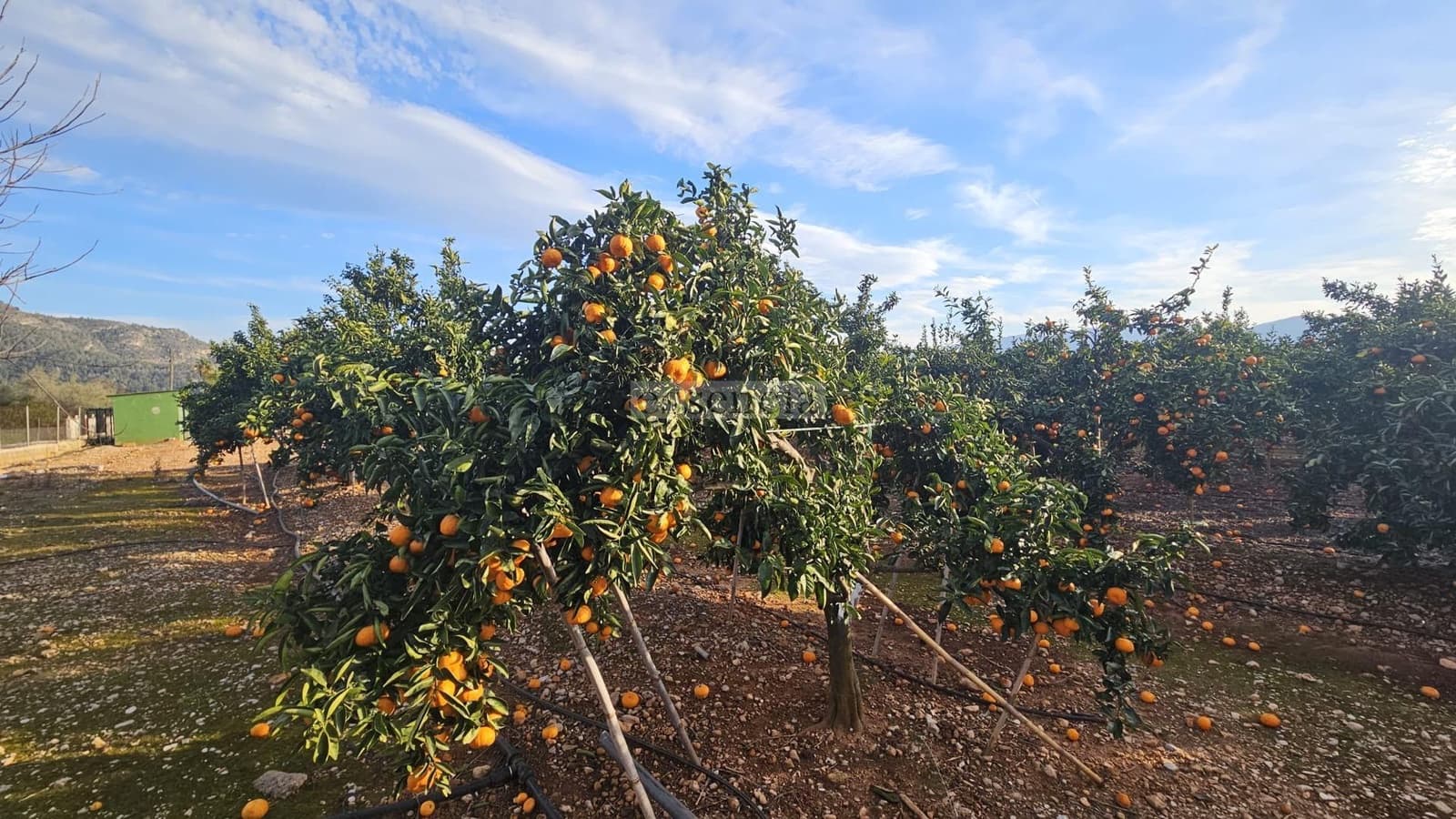 2 sovrum Villa till salu i Palma de Gandia - 389 000 € (Ref: 8798816)