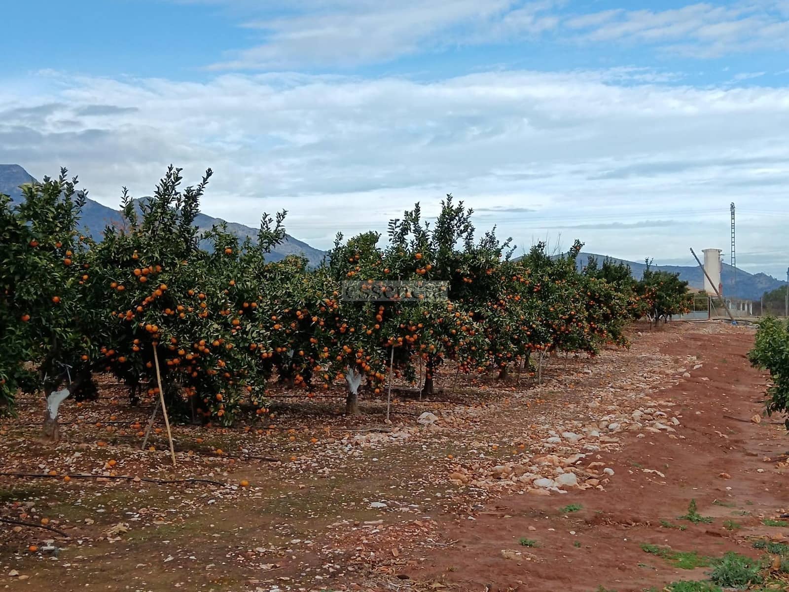 2 sovrum Villa till salu i Palma de Gandia - 389 000 € (Ref: 8798816)