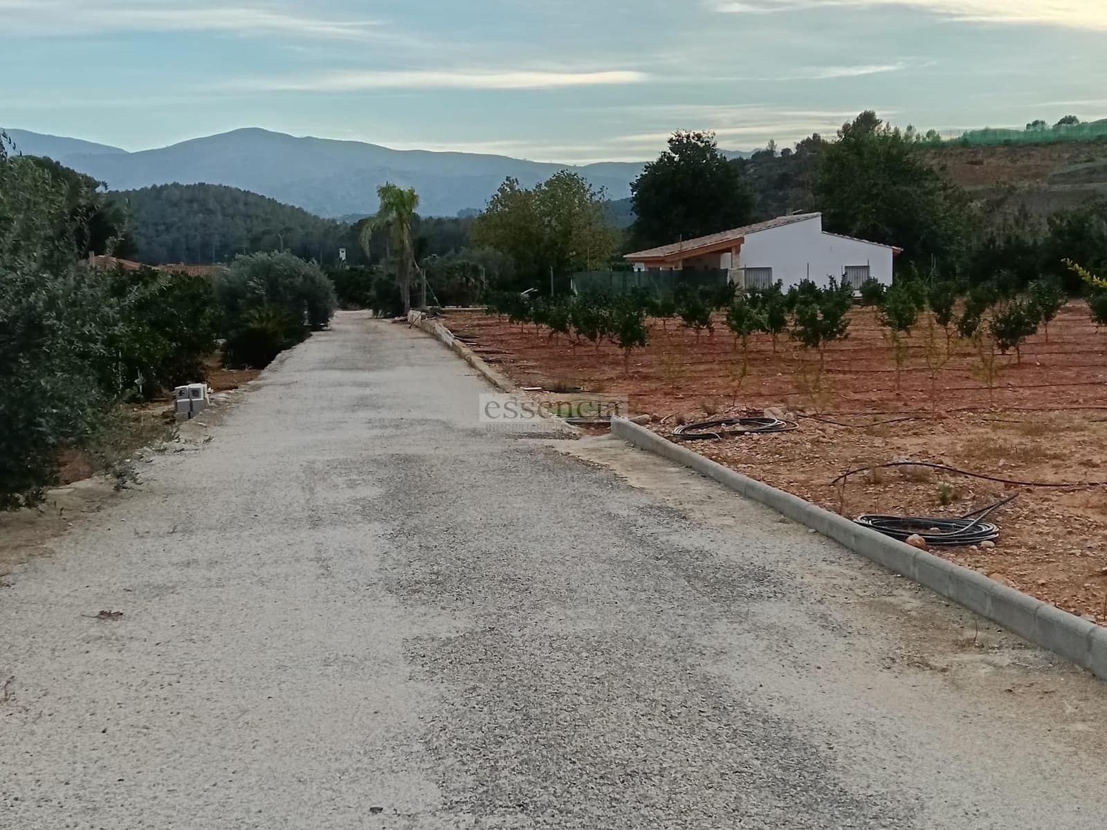 2 sovrum Villa till salu i Palma de Gandia - 389 000 € (Ref: 8798816)