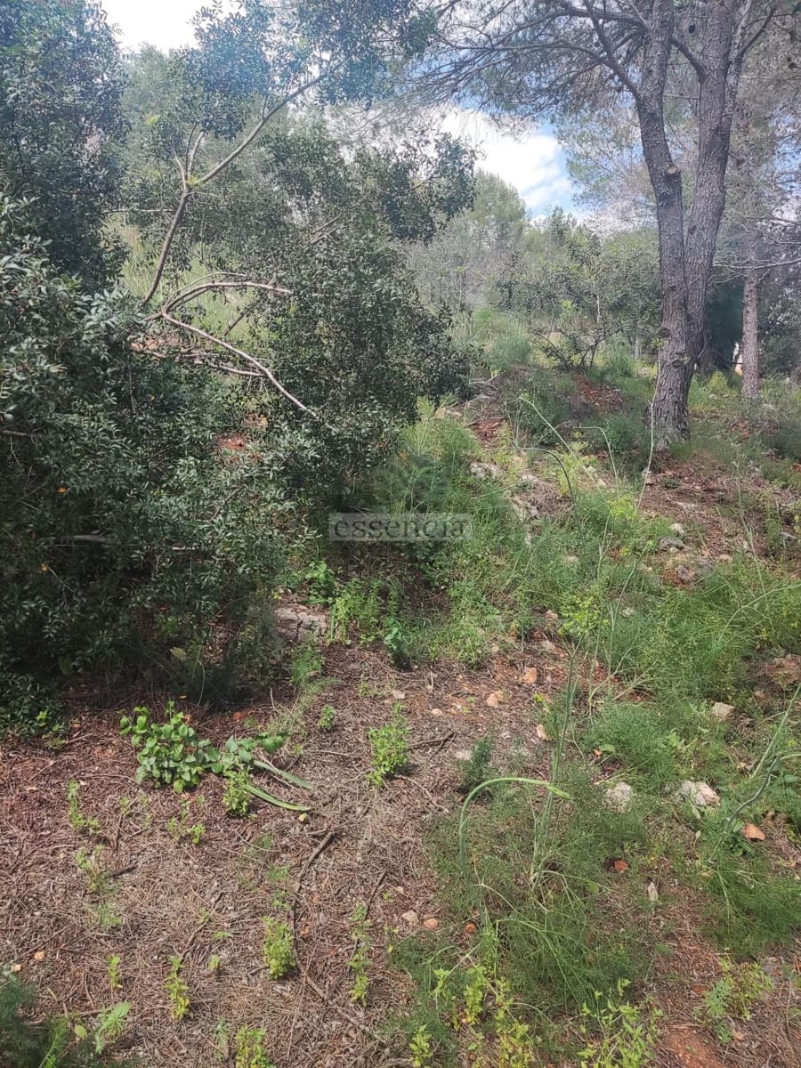 Terrain à Bâtir à vendre à Rotova - 43 900 € (Ref: 8970259)