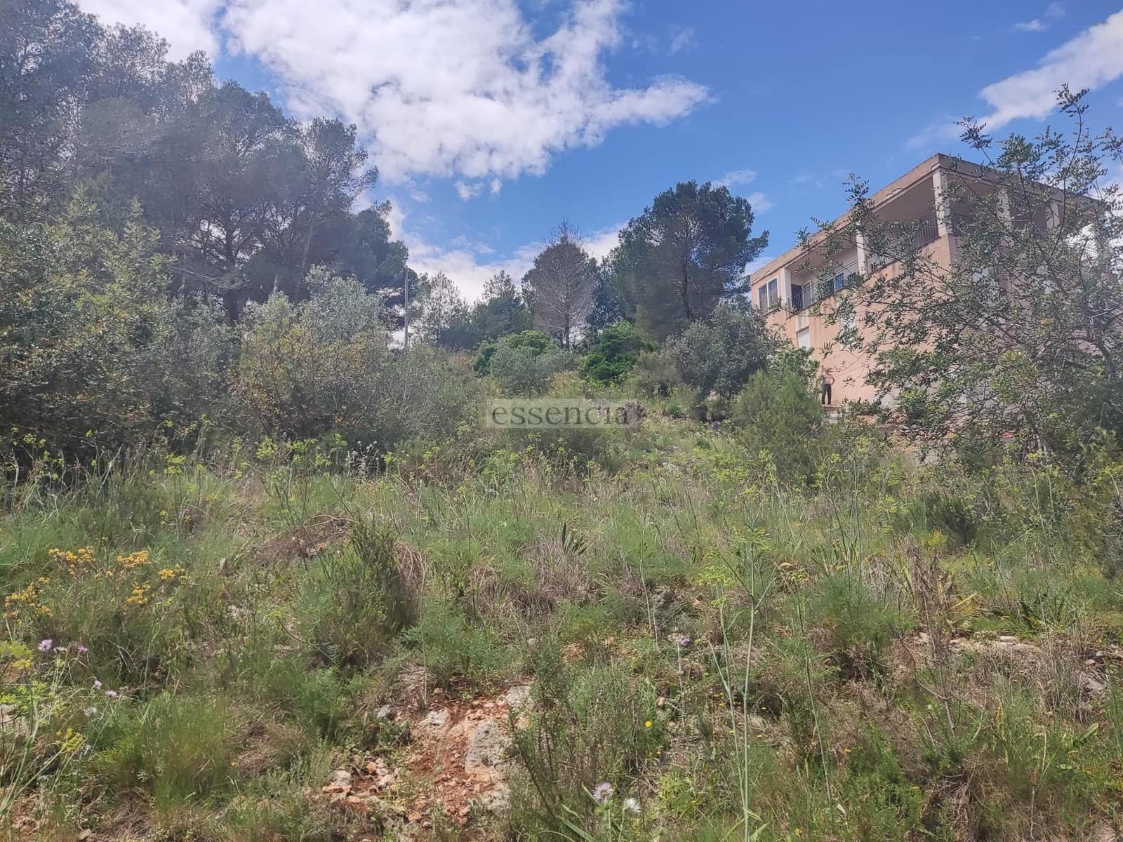 Terrain à Bâtir à vendre à Rotova - 43 900 € (Ref: 8970259)