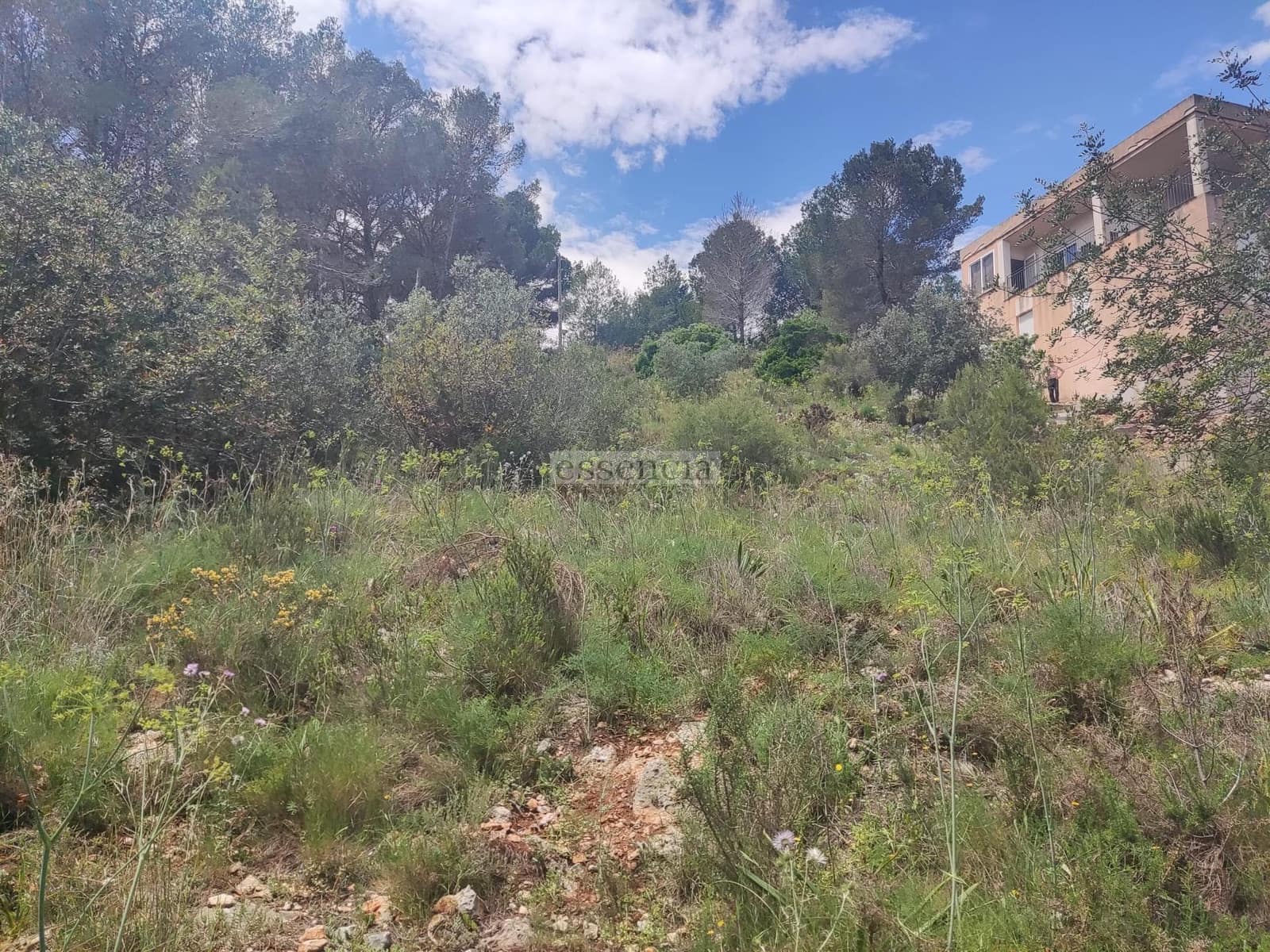 Terrain à Bâtir à vendre à Rotova - 43 900 € (Ref: 8970259)