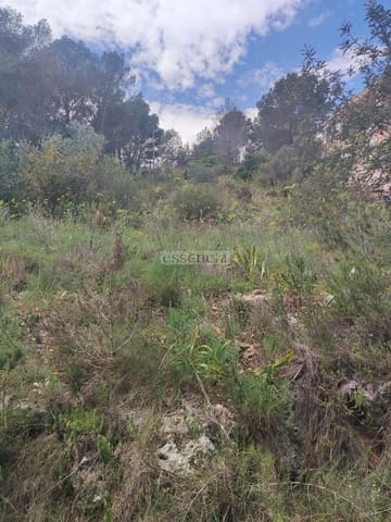 Area Edificabile in vendita in Rótova - 43.900 € (Rif: 8970259)