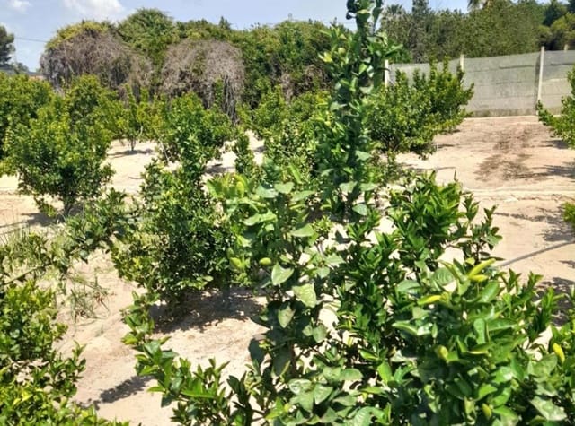 Byggetomt til salgs i Tavernes de la Valldigna - € 554 800 (Ref: 9151839)