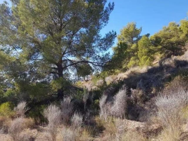 Terrain à Bâtir à vendre à Finestrat Pueblo, Finestrat - 1 730 500 € (Ref: 9188373)