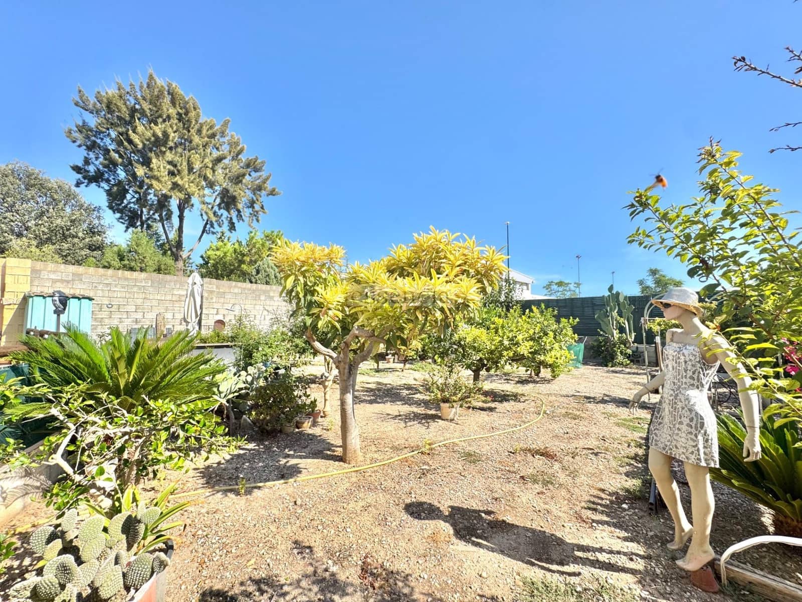 3 soveværelse Villa til salg i Palmera med swimmingpool garage - € 450.000 (Ref: 9248731)