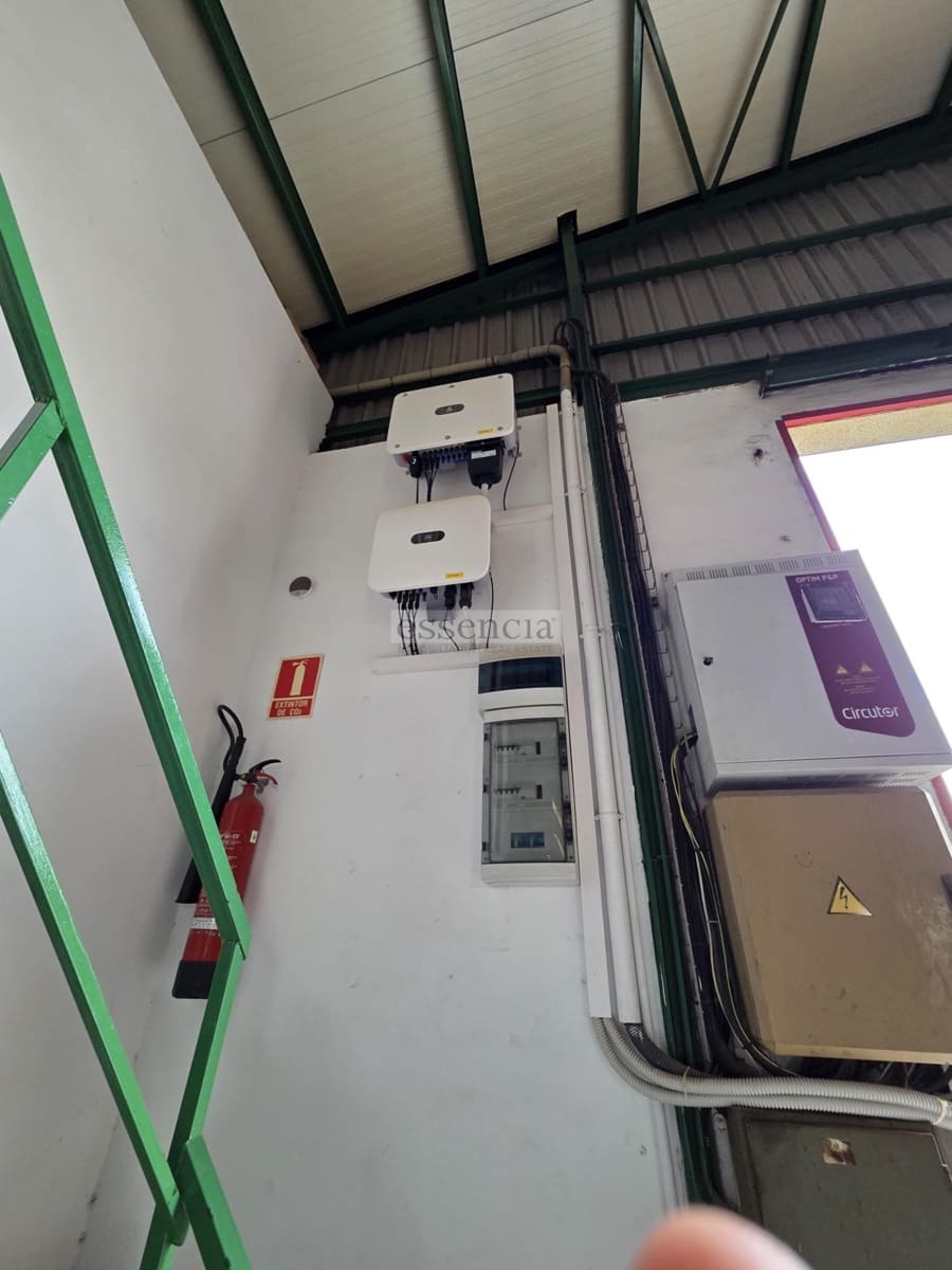 2 slaapkamer Bedrijf te koop in Palma de Gandia met garage - € 911.000 (Ref: 9308473)