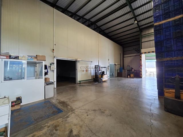 2 bedroom Business for sale in Palma de Gandía with garage - € 911,000 (Ref: 9308473)