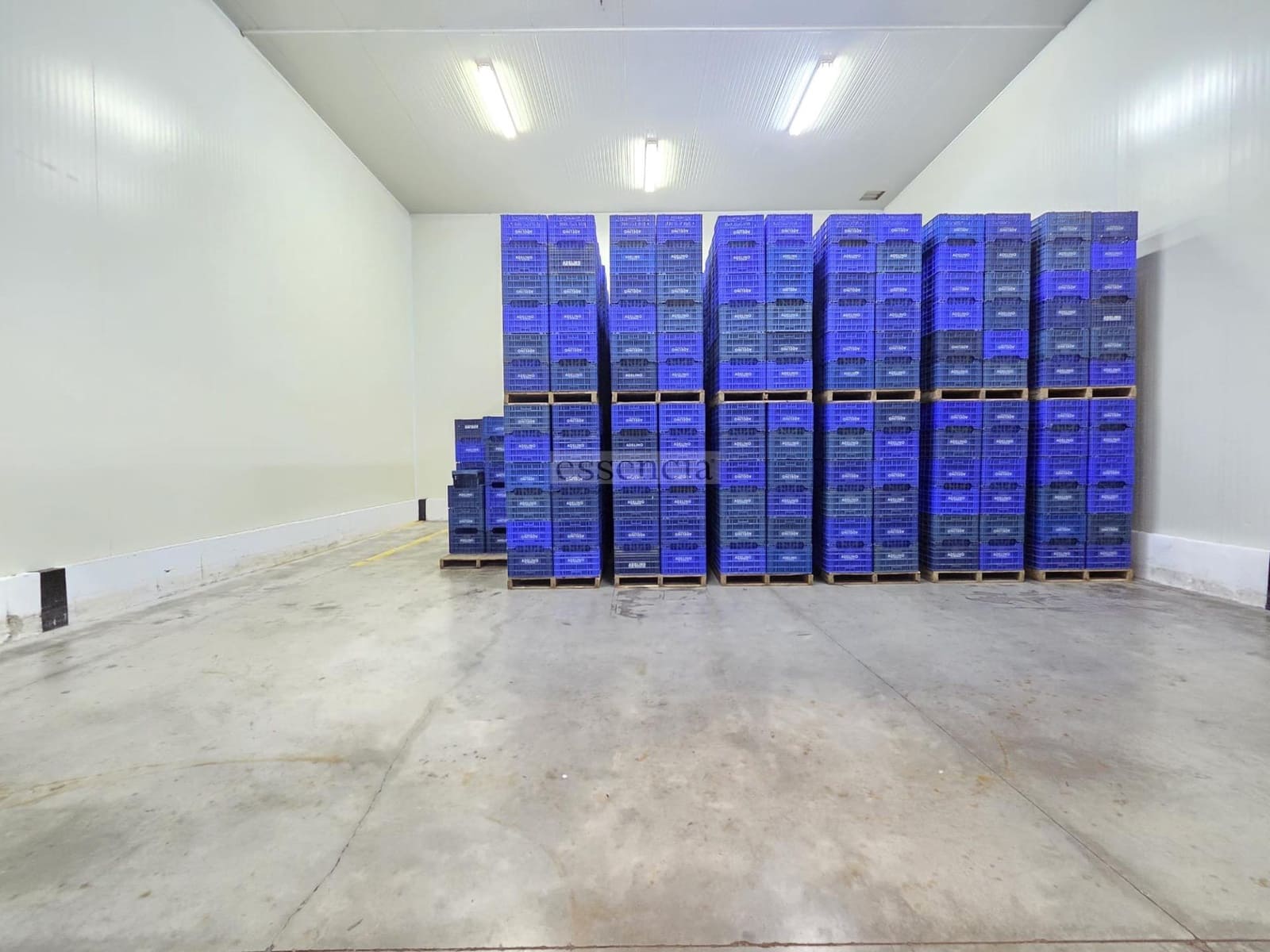 2 slaapkamer Bedrijf te koop in Palma de Gandia met garage - € 911.000 (Ref: 9308473)