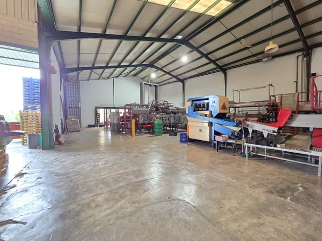 2 bedroom Business for sale in Palma de Gandía with garage - € 911,000 (Ref: 9308473)