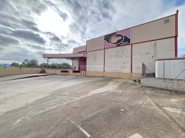 2 bedroom Business for sale in Palma de Gandía with garage - € 911,000 (Ref: 9308473)