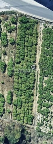 Building Plot for sale in Beniarjó - € 65,000 (Ref: 9353559)