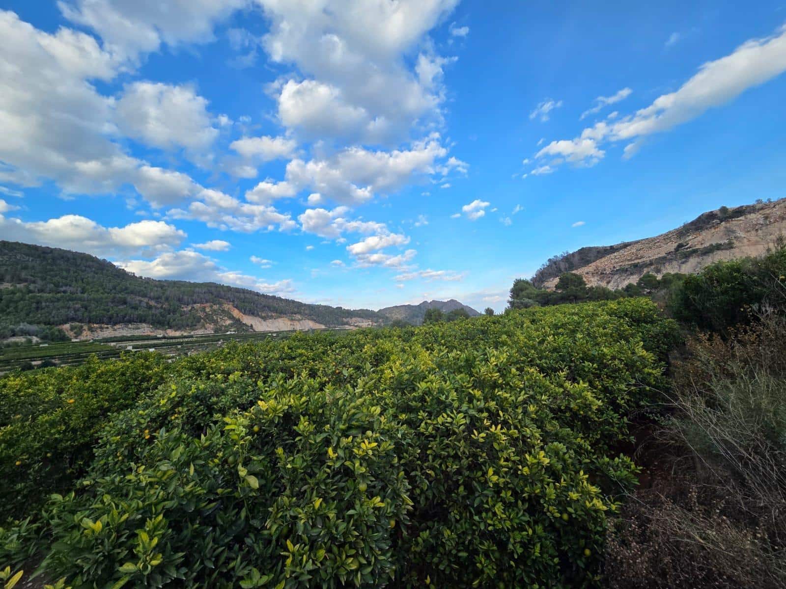 Finca/Herregård til salgs i Adsubia - € 29 900 (Ref: 9403332)