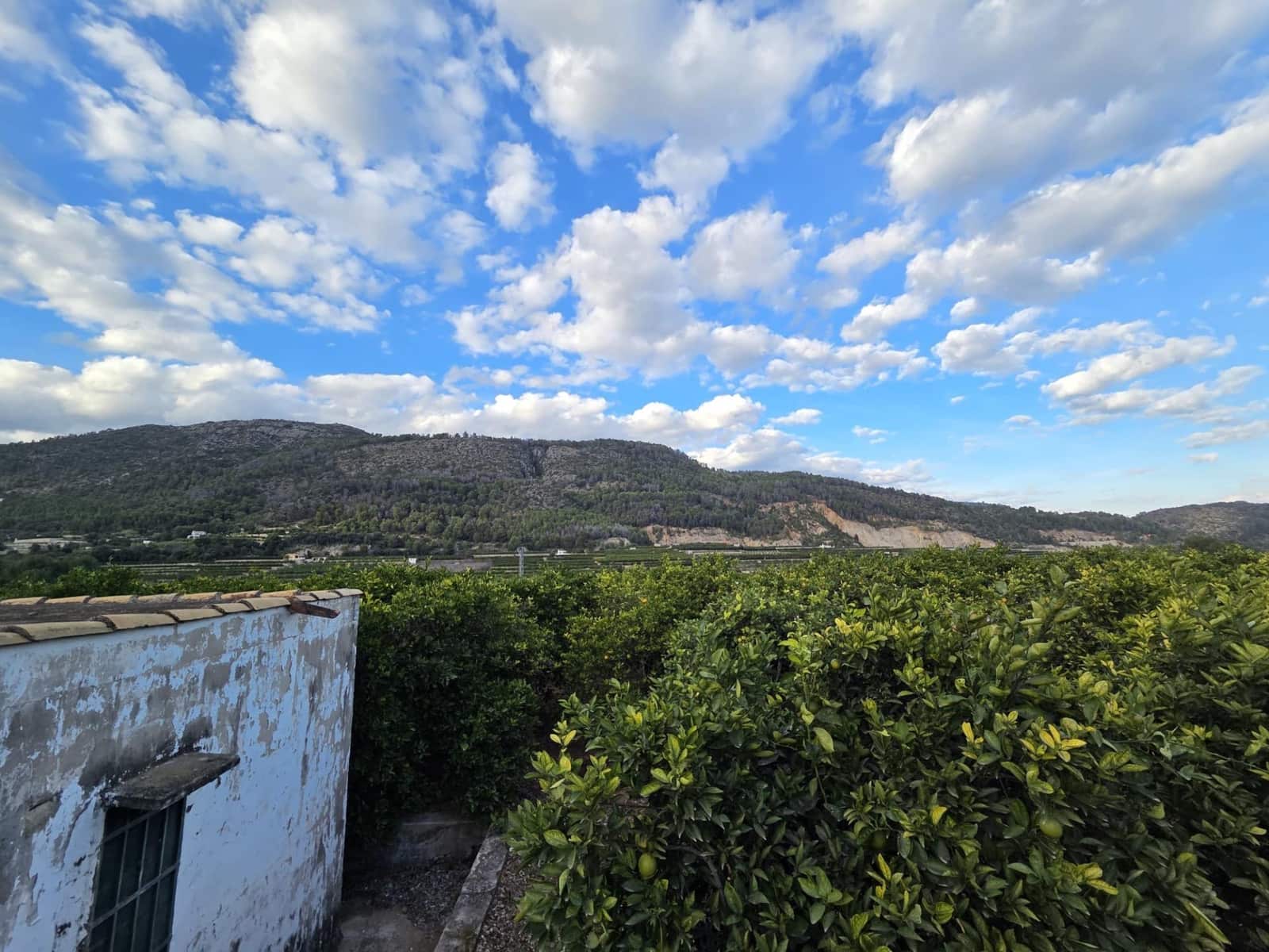 Finca/Herregård til salgs i Adsubia - € 29 900 (Ref: 9403332)