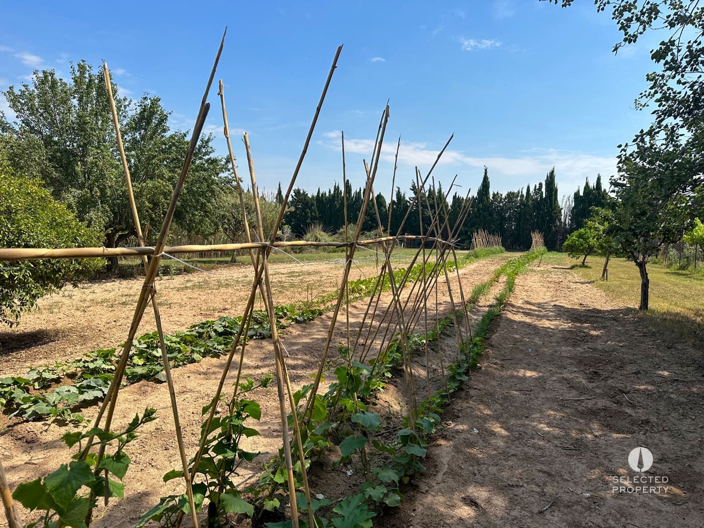 5 makuuhuone Omakotitalo myytävänä paikassa Sant Boi de Llobregat - 3 000 000 € (Ref: 8909790)