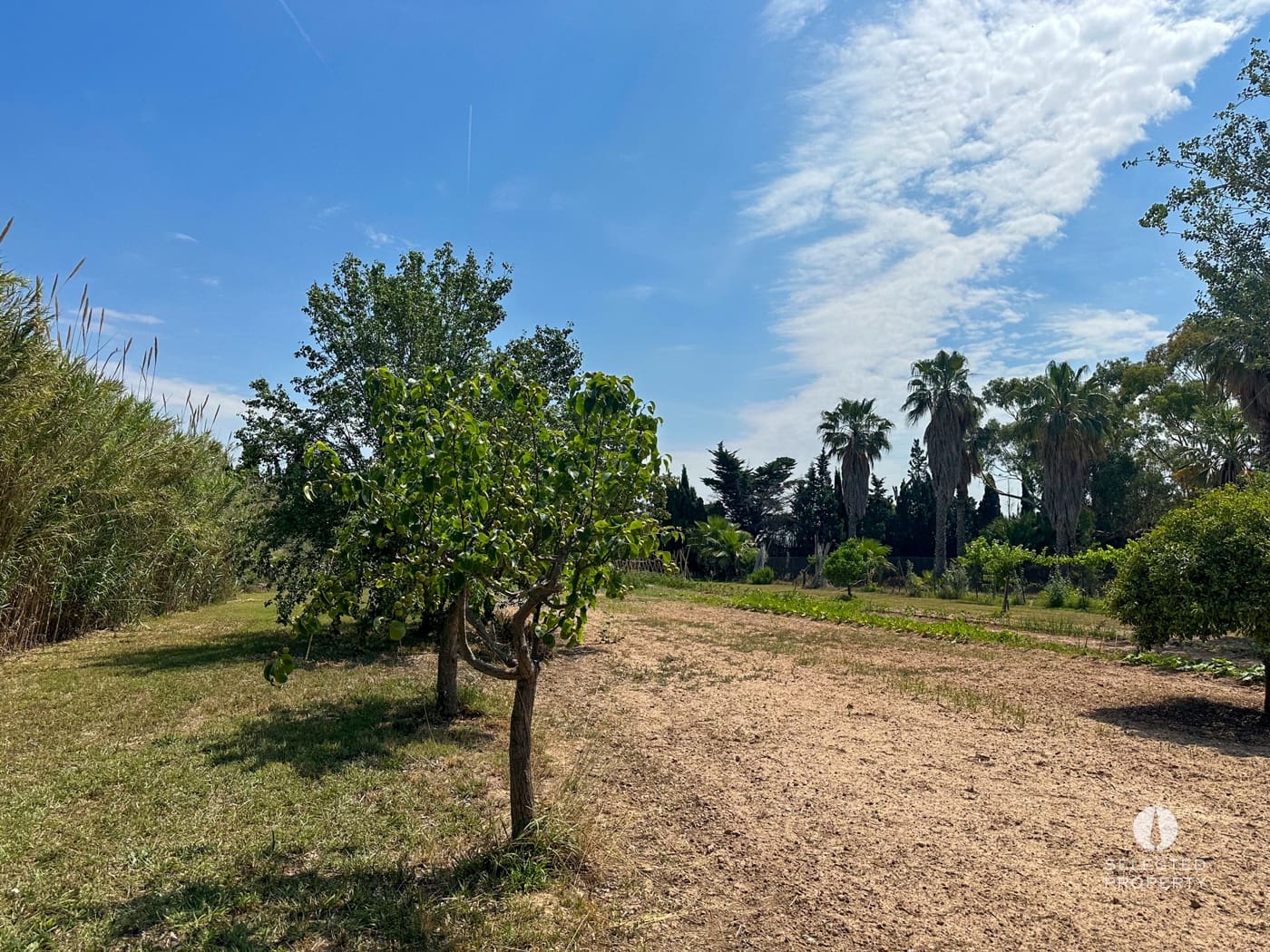 5 makuuhuone Omakotitalo myytävänä paikassa Sant Boi de Llobregat - 3 000 000 € (Ref: 8909790)