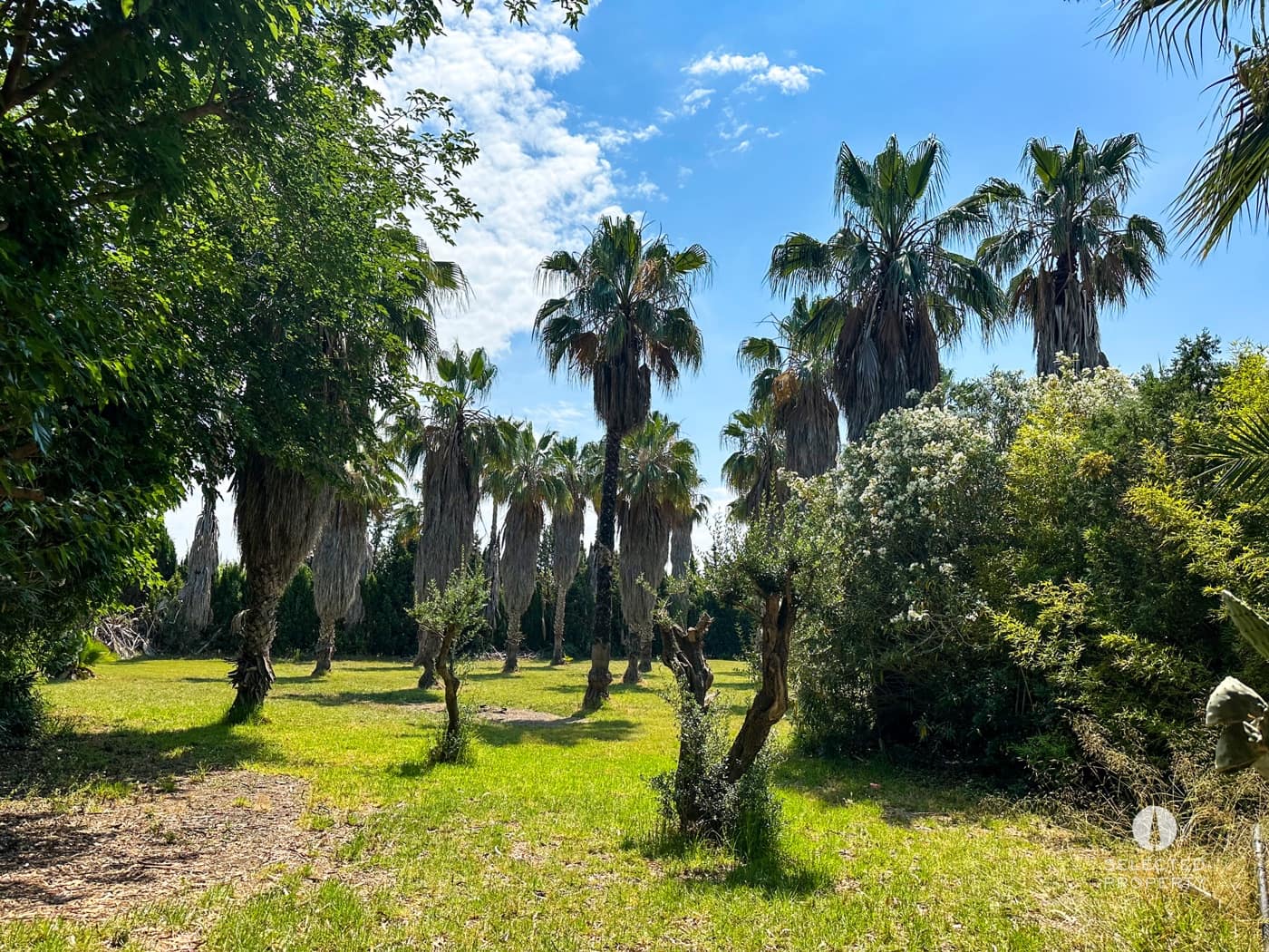 5 makuuhuone Omakotitalo myytävänä paikassa Sant Boi de Llobregat - 3 000 000 € (Ref: 8909790)