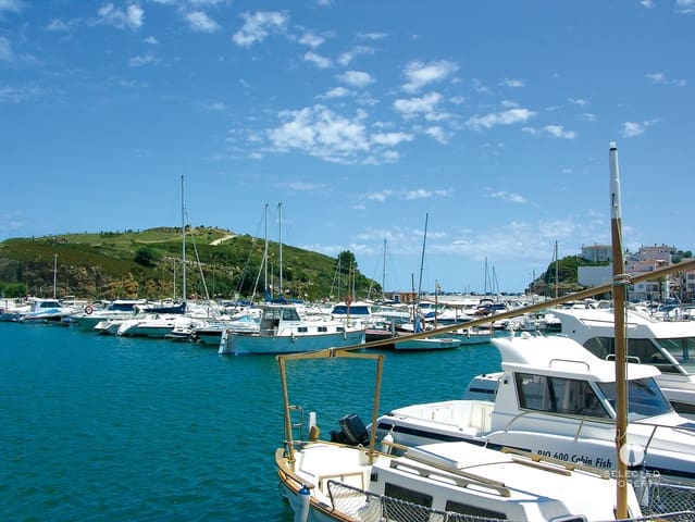 Hotel til salg i Grifeu, Llançà - € 2.500.000 (Ref: 9109413)