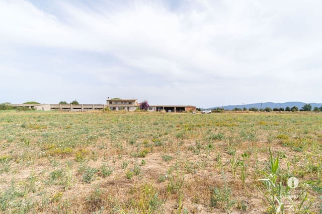 Casa de 2 habitaciones en Castelló d'Empúries en venta - 460.000 € (Ref: 9981405)