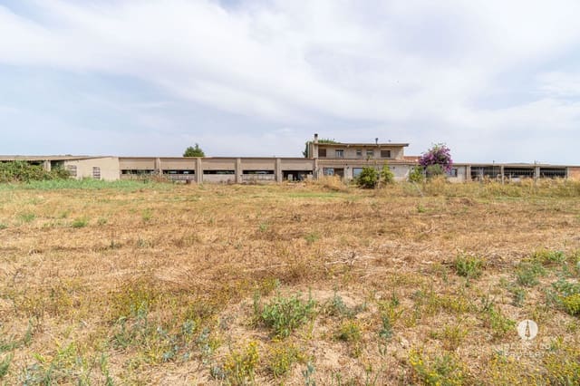 Casa de 2 habitaciones en Castelló d'Empúries en venta - 460.000 € (Ref: 9981405)