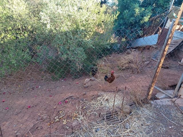 Byggetomt til salgs i Estepona - € 530 000 (Ref: 3464399)