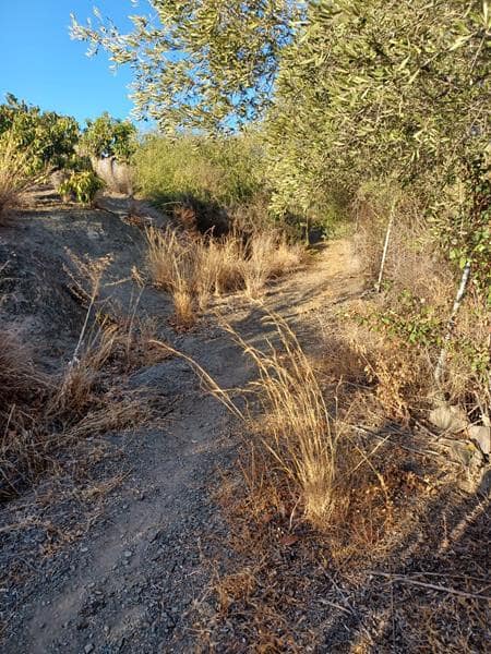 Byggetomt til salgs i Estepona - € 530 000 (Ref: 3464399)