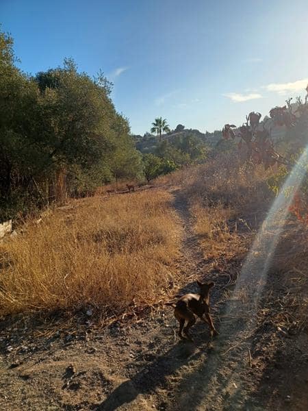 Byggetomt til salgs i Estepona - € 530 000 (Ref: 3464399)