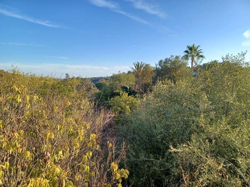 Byggetomt til salgs i Estepona - € 530 000 (Ref: 3464399)