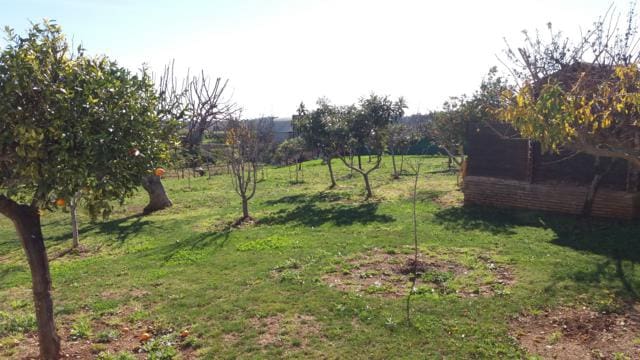 3 chambre Villa/Maison à vendre à Estepona avec piscine garage - 763 500 € (Ref: 4320020)