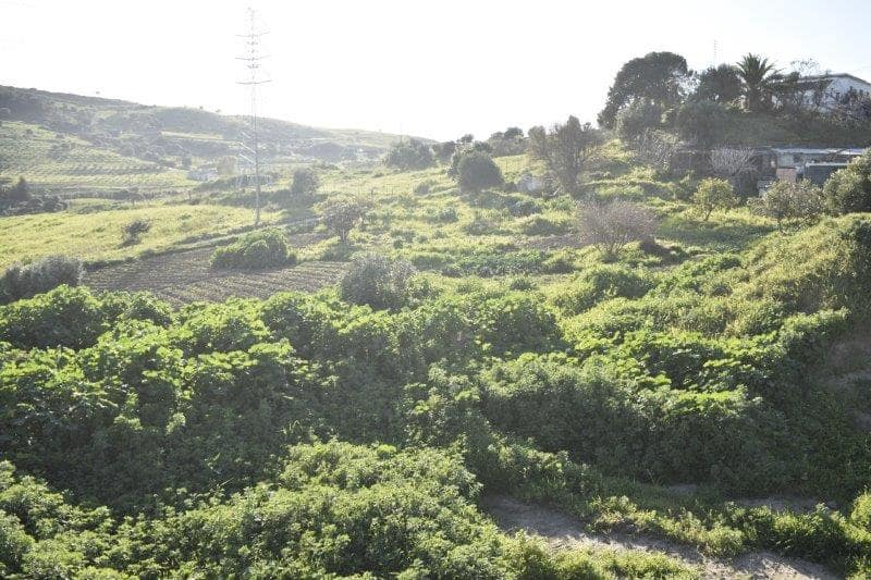 Byggegrund til salg i Casares - € 11.663.550 (Ref: 8930847)