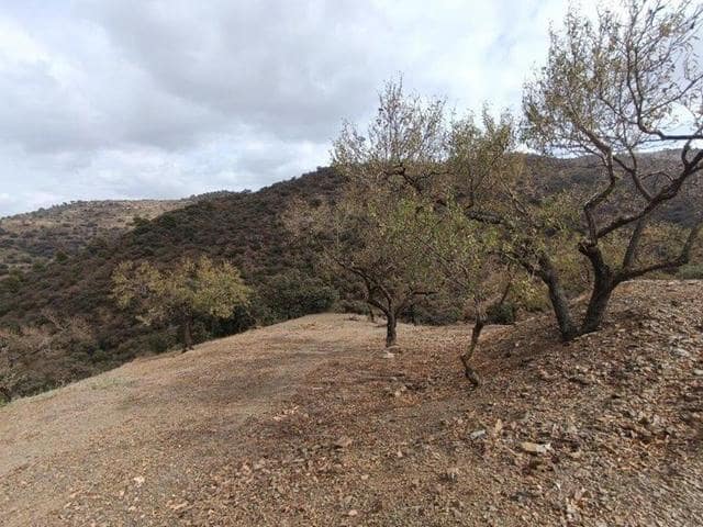 Działka budowlana na sprzedaż w Casabermeja - 66 000 € (Ref: 8930859)