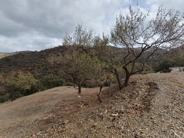 Działka budowlana na sprzedaż w Casabermeja - 66 000 € (Ref: 8930859)