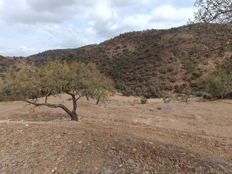 Działka budowlana na sprzedaż w Casabermeja - 66 000 € (Ref: 8930859)