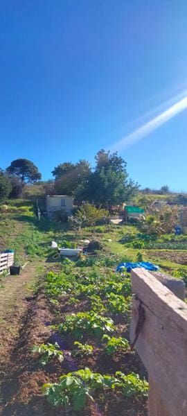 Byggegrund til salg i Estepona - € 250.000 (Ref: 8930907)