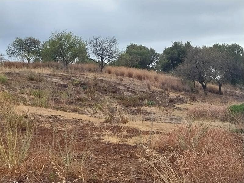 Byggegrund til salg i Estepona - € 250.000 (Ref: 8930907)