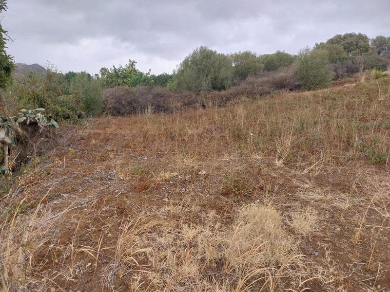 Byggegrund til salg i Estepona - € 250.000 (Ref: 8930907)