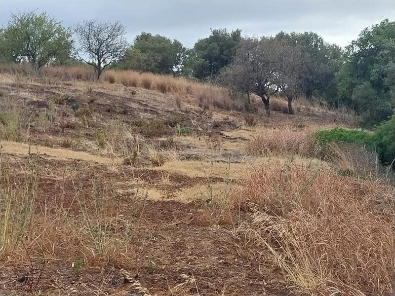 Byggegrund til salg i Estepona - € 250.000 (Ref: 8930907)