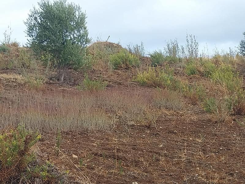 Byggegrund til salg i Estepona - € 250.000 (Ref: 8930907)