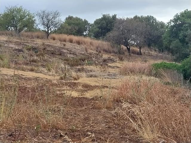 Byggegrund til salg i Estepona - € 250.000 (Ref: 8930907)