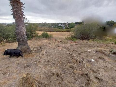 2 quarto Casa em Banda para venda em Estepona com piscina - 600 000 € (Ref: 8930925)