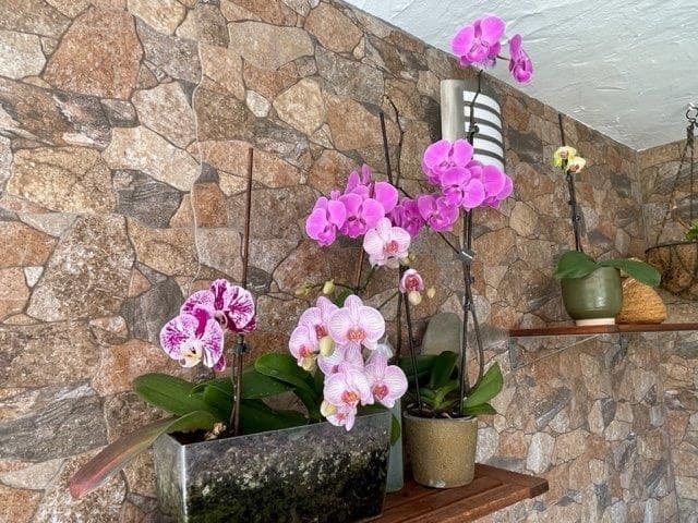 3 soveværelse Rækkehus til salg i San Luis de Sabinillas med swimmingpool - € 395.000 (Ref: 9087521)