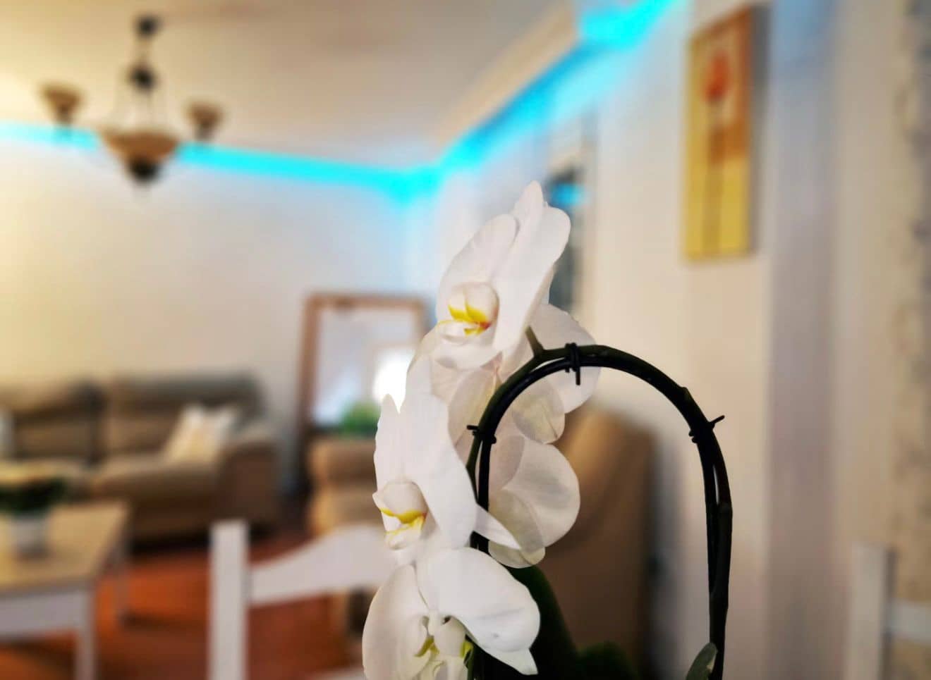 5 sovrum Radhus till salu i Puerto de la Torre med pool garage - 690 000 € (Ref: 9150894)