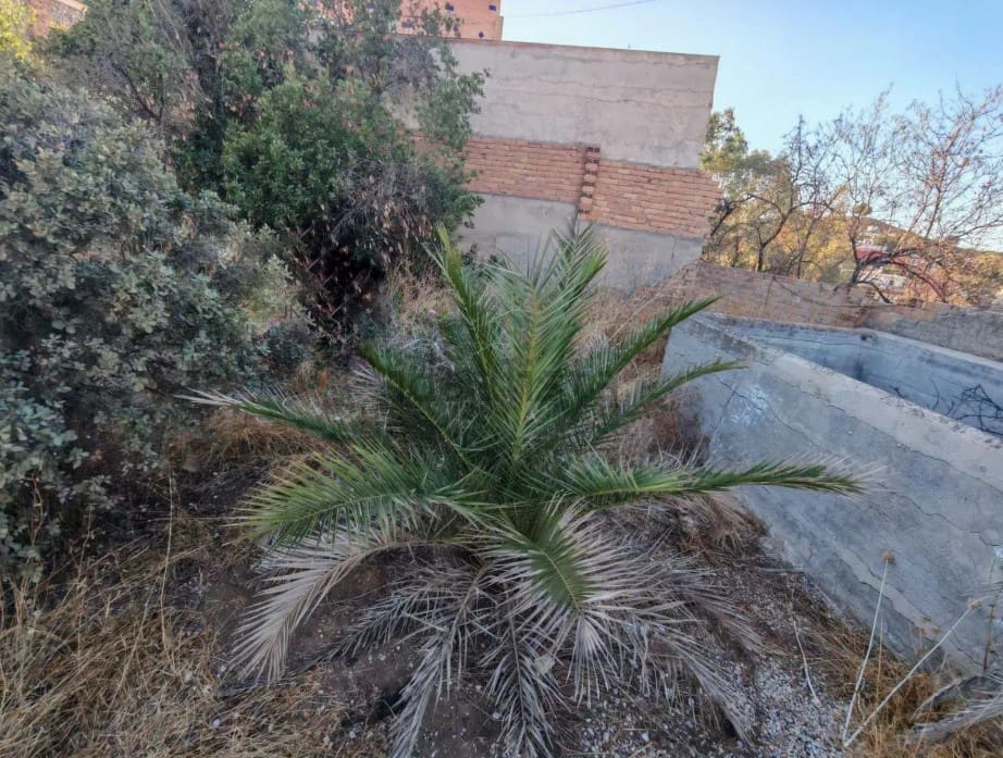 Building Plot for sale in Puerto de la Torre - € 254,520 (Ref: 9344068)