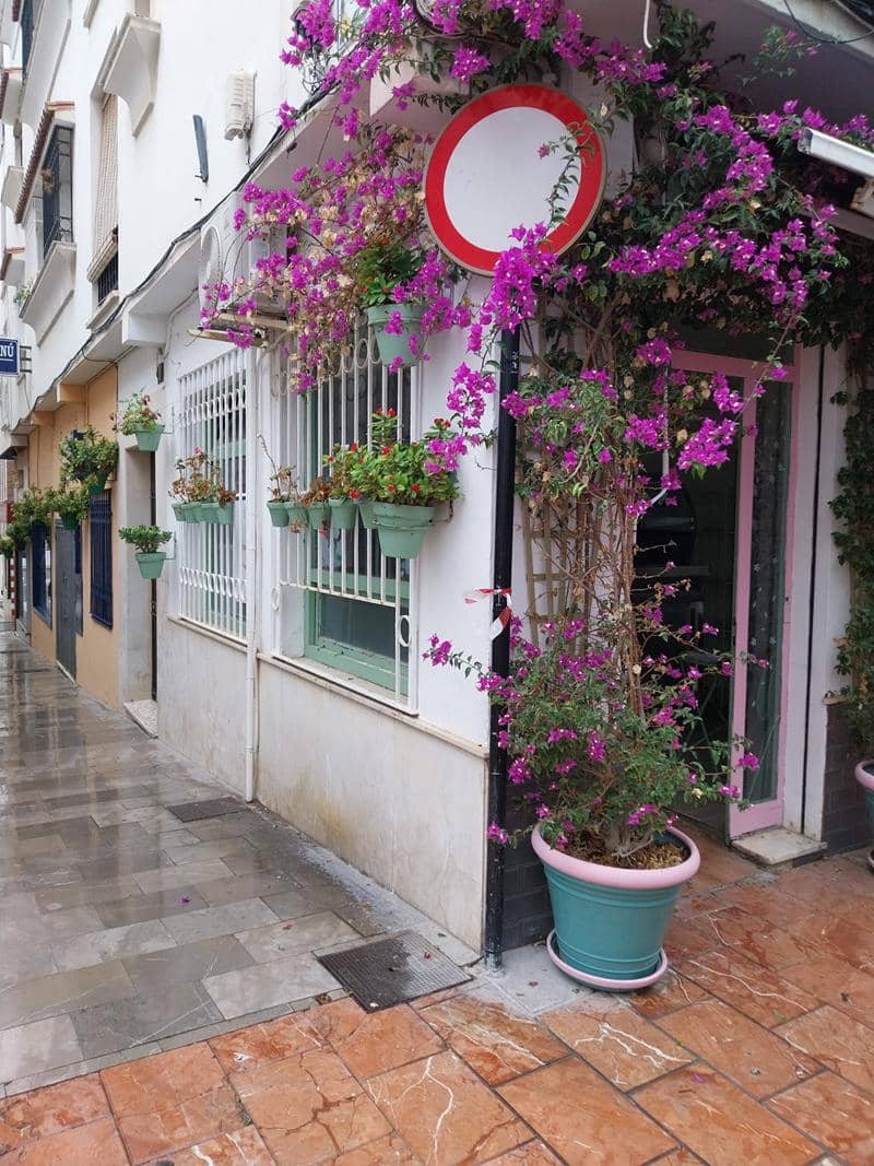 Commercieel te koop in Estepona - € 66.000 (Ref: 9397871)